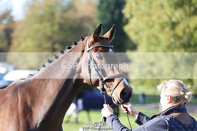 241027-094144-15449 - 413-Sophie.Westmore-CALCOURT.LEONARDO