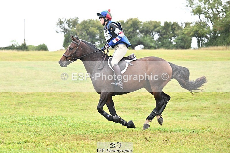 TS_b0515584 - SAT BE 90 Recovered Files fence 8