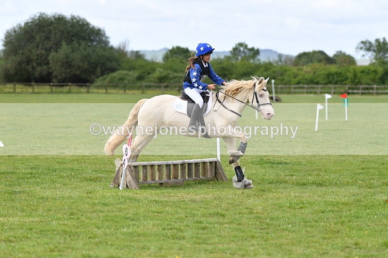 WJ5_2722 - Class 2 40cm