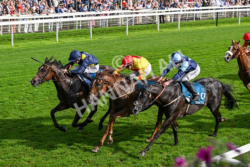 060926-Race 6-Power Fizz-0400 - Race 6 4.25pm Eboracum Security Handicap