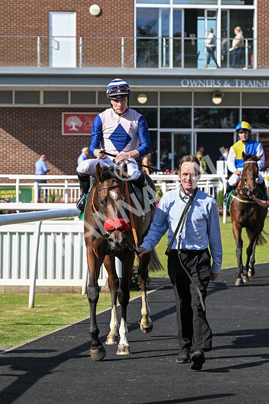 160924-Race 3-Moostar-2788 - Race 3