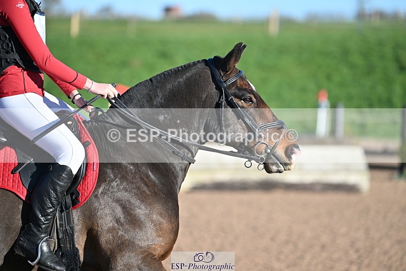 231125A-105944-00220 - 70cm