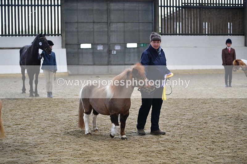 WJ5_5165 - Class 7 In hand coloured / odd coloured