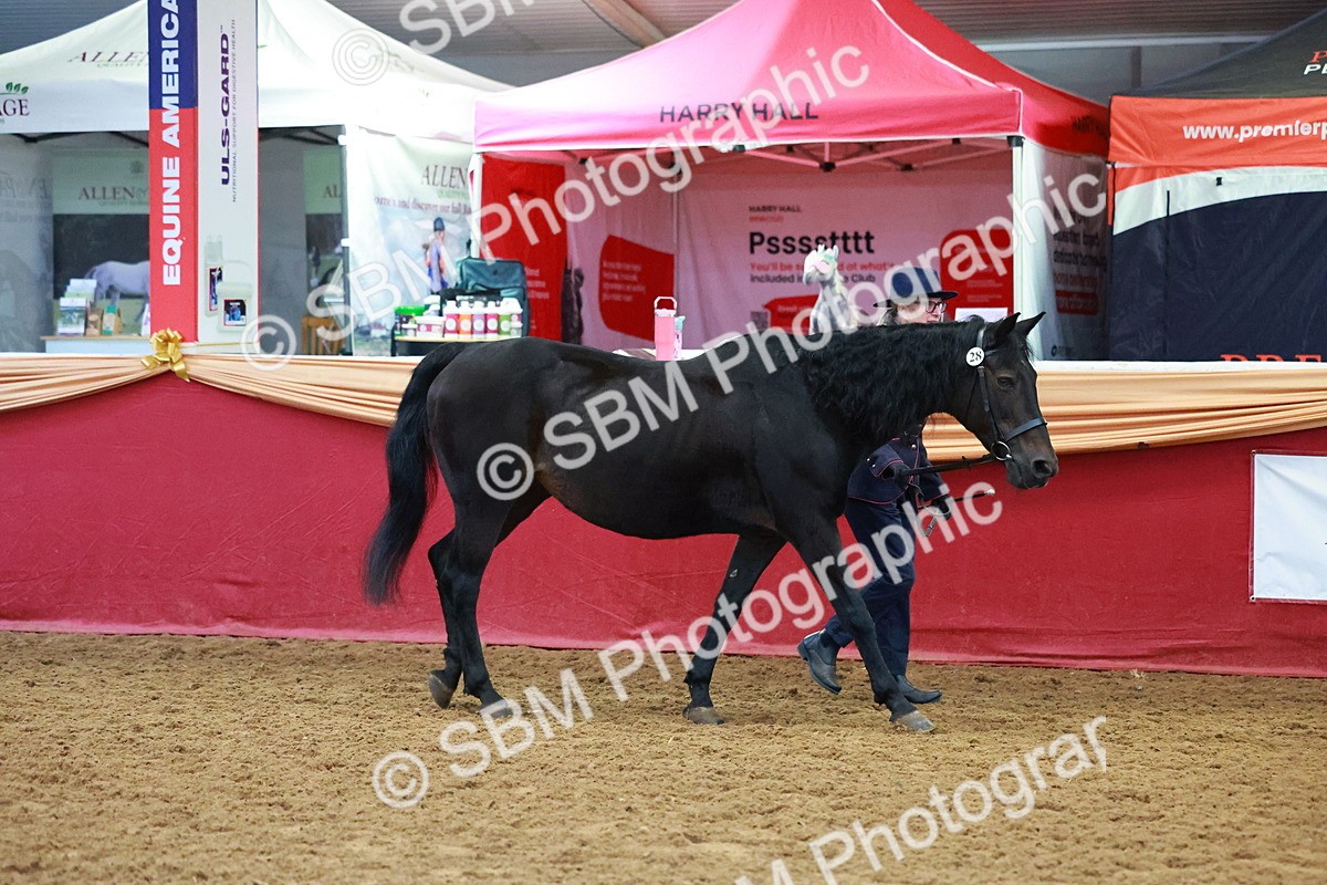 SBM_15974 - Class 901 - Sup Final - IH Diamond
