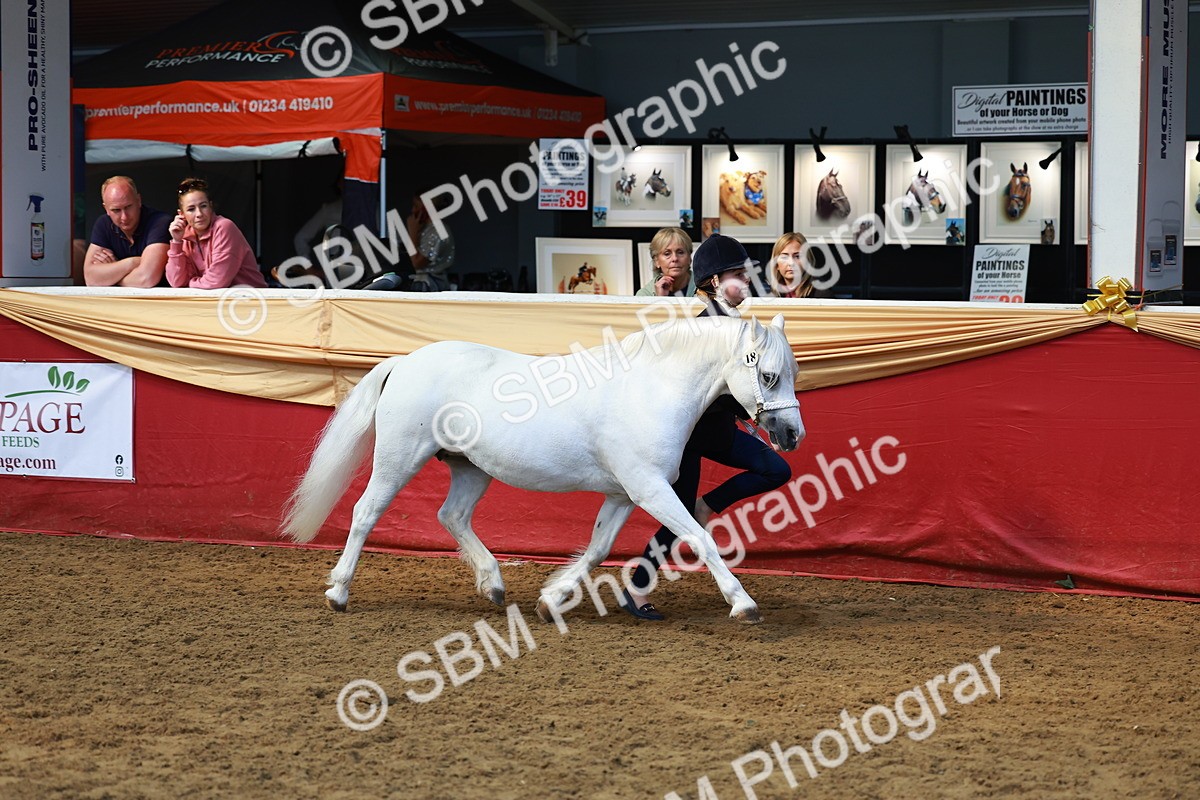 SBM_18602 - Class 903 - Sup Final - IH Pre Vet