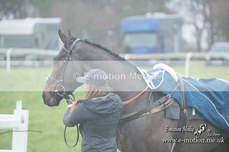 PtP 101223 188 - New Forest Hounds PtP Larkhill 10/12/23