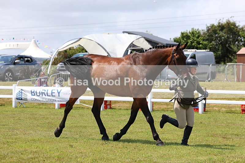 3E7A1701 - Class 9: Open Hunter