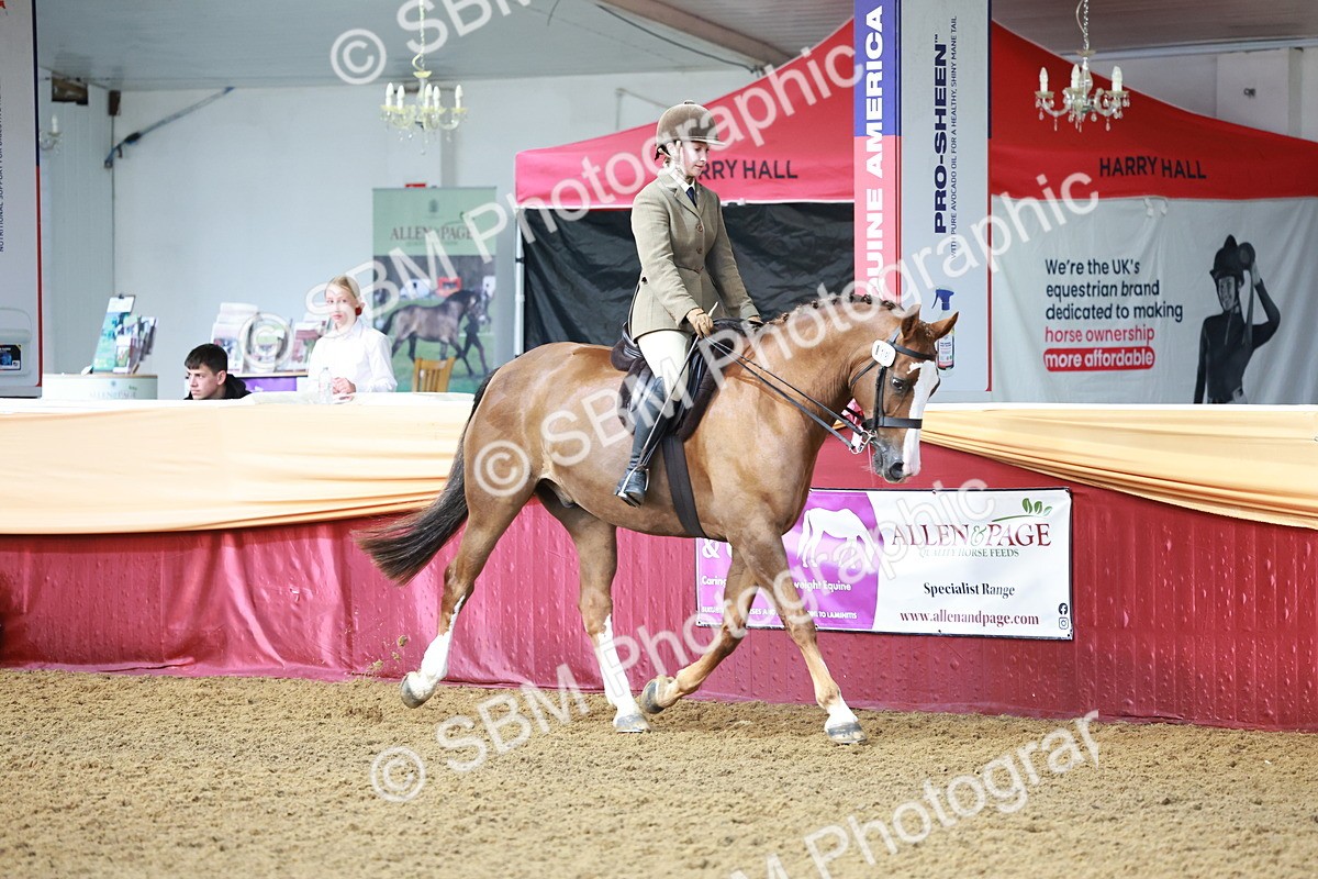SBM_11960 - Class 102 - Equitation (Best Rider) Adult