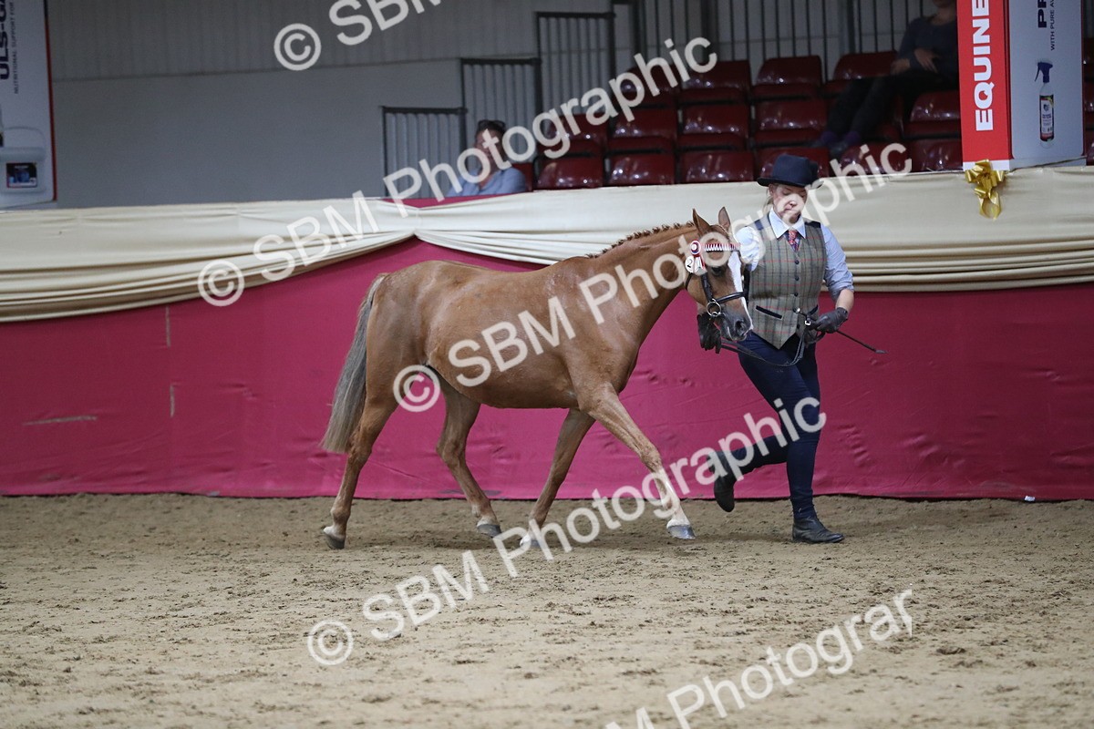 SBM_04974 - Class 8R- Regional -IH Veteran