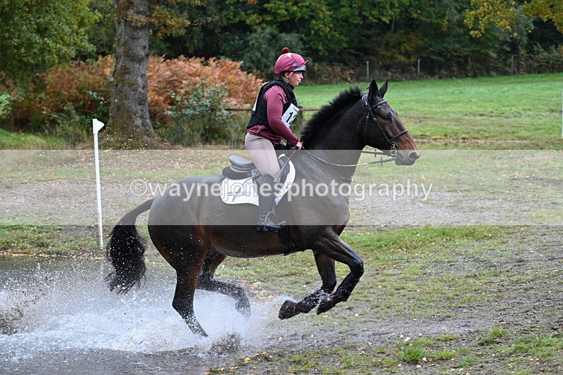 WJ7_3589 - Time 11:13 to 11:32