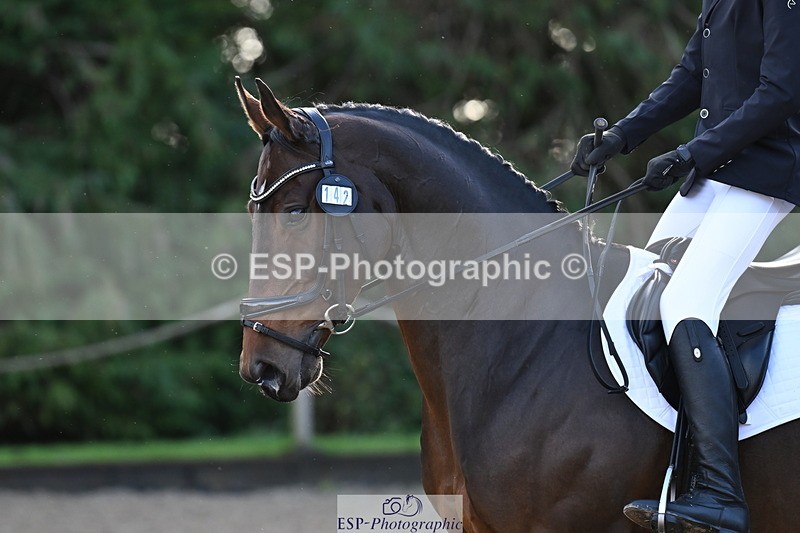 251024A-103055-06481 - B-142-Harry.Hodge