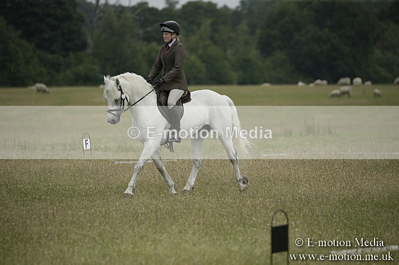 B230619-0353 - Bourne Valley Riding Club Summer Show 23/06/19