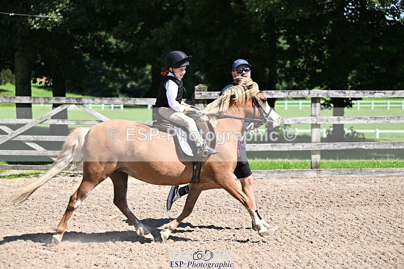 240729B-111816-02311 - Showjumping Competition