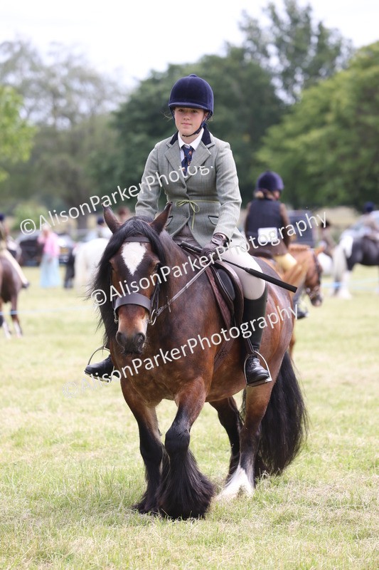20260614-2911 - Class 22 - Open Working Hunter