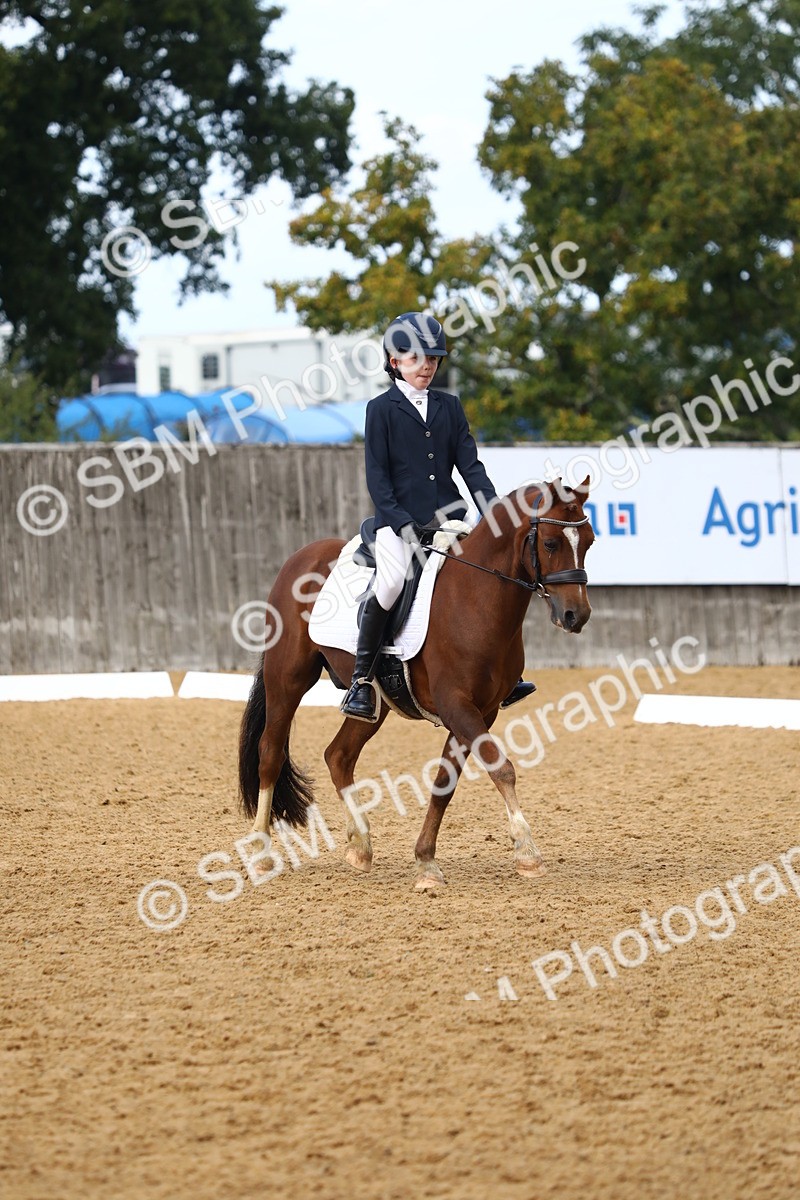 SBM_42659 - D21 - Junior Championship Intro 1