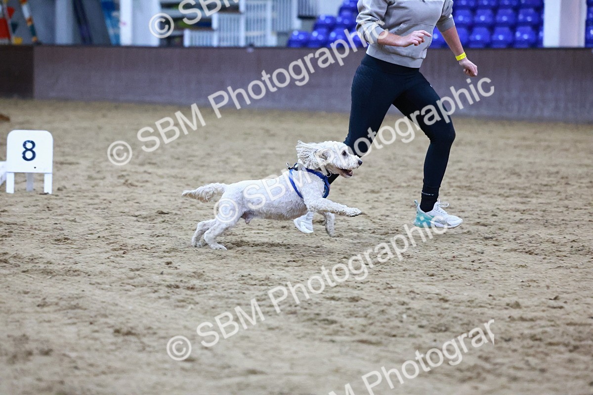 SBM_005908 - Evening Performance