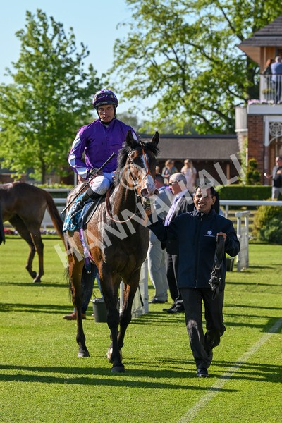 140525-Race 7-Great Bedwyn-3128 - Race 7 5.25pm Stuey Weston & Friends Getting Out Handicap