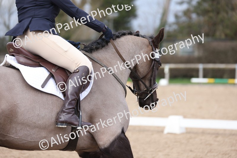 20260301-0280 - Class 3 - Novice 4