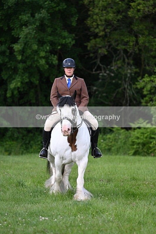 WJ7_1021 - Class 11 Condition & Turnout