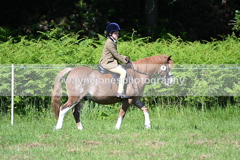 WJ7_0655 - Class 8 First Rally Pony
