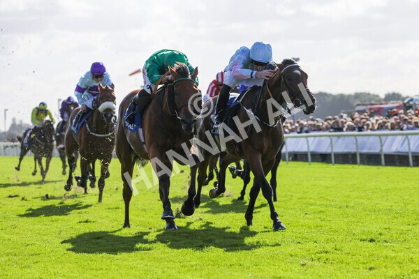 yr08102022r2-27 - Race 2 2.05pm The Coral Rockingham Stakes