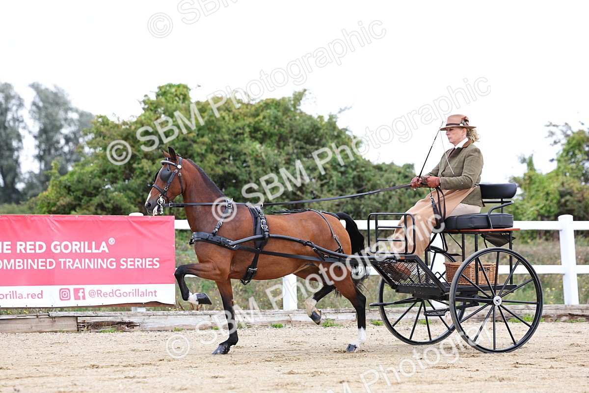 SBM_000281 - Class 2 - Exercise Vehicle 13.2hh & Under