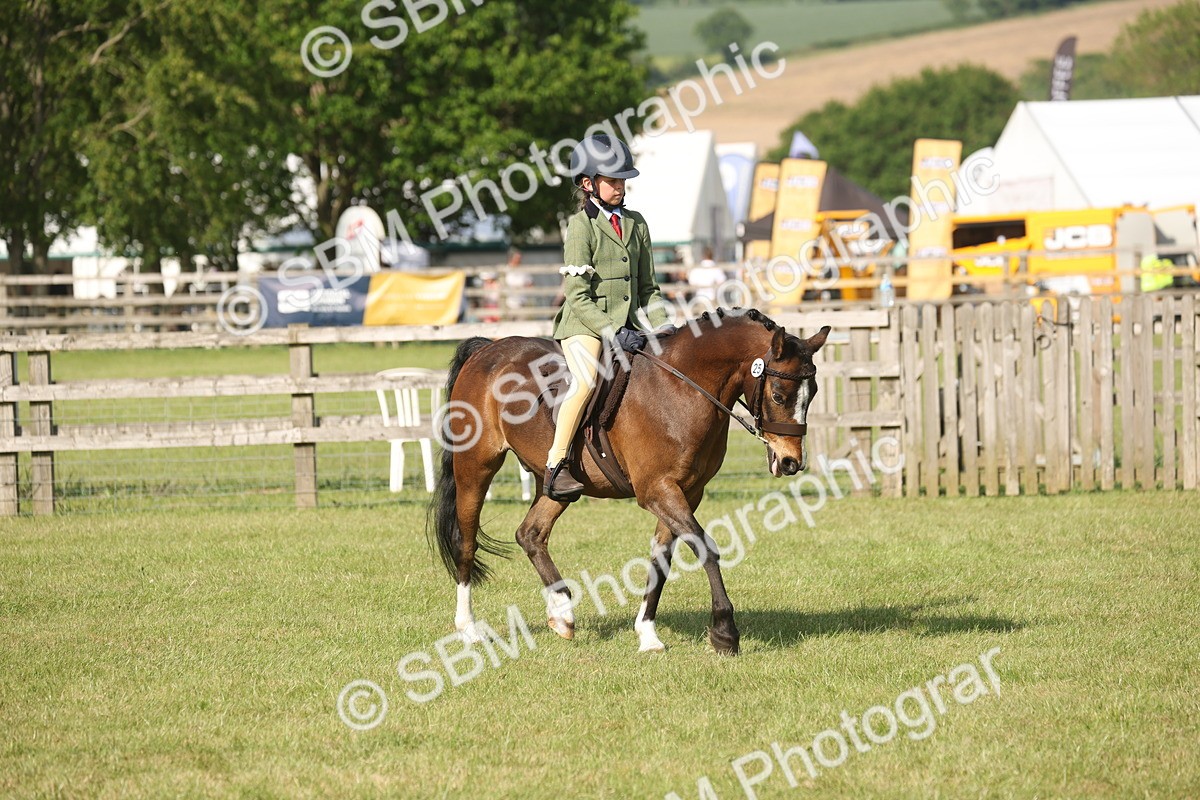 SBM_10202 - Class 33-38 - SSADL RIHS Qualifiers