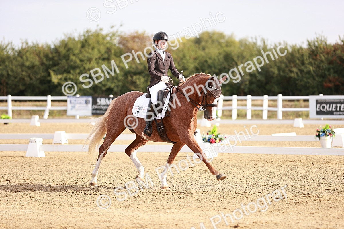 SBM_016865 - Class 10 - Medium 6