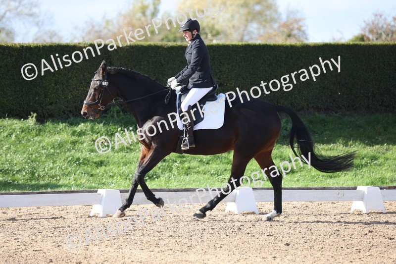 20251101-0603 - Class 4 - Novice 2