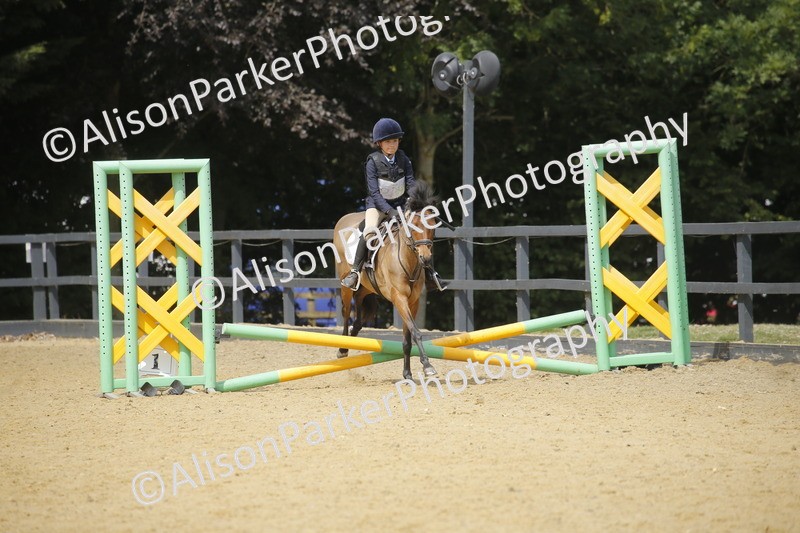 20250622-3950 - 50cm