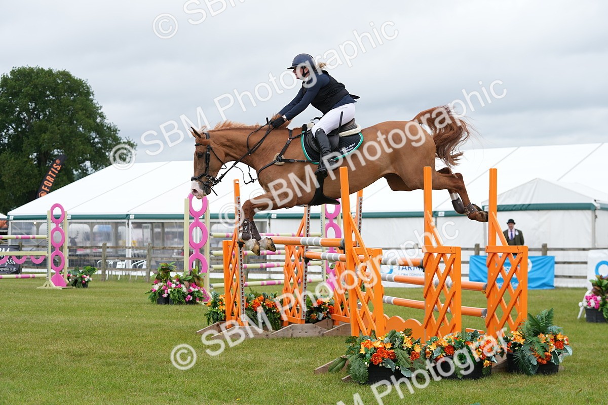 SBM_03297 - Class 201 - British Horse Feeds Speedi Beet Horse of the Year Show Grade  C