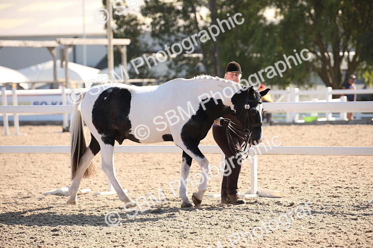 SBM_01437 - Class 15 IH Coloured