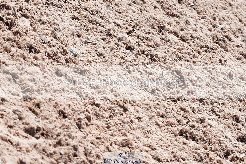 250503-143700-01569 - Cls 28 Springboard