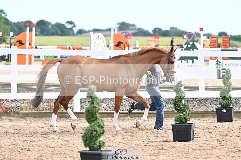 240717A-165425-03537 - Trot Up 4pm to 5pm