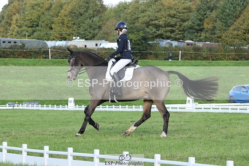 251024A-103037-07781 - D-345-Neve.Webber