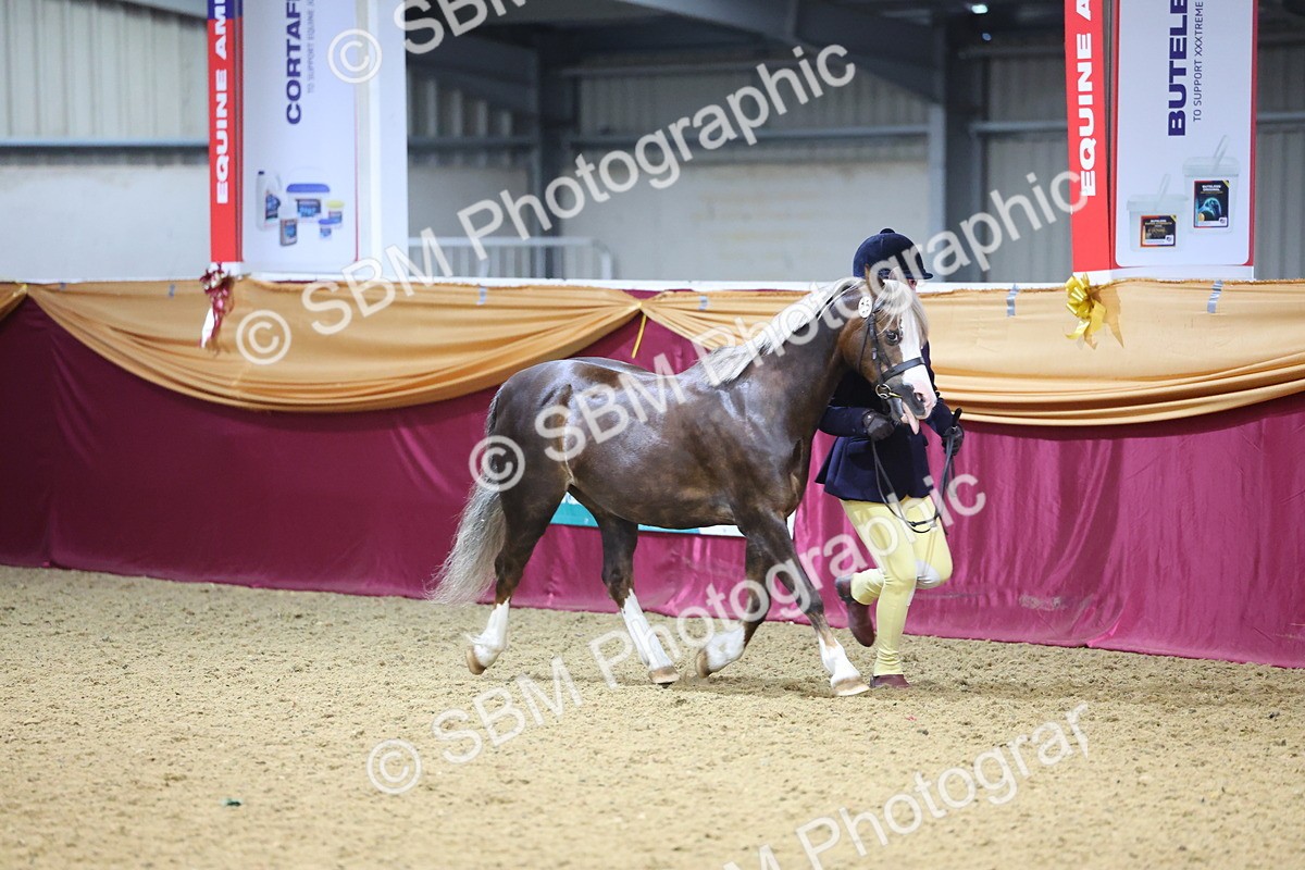 SBM_19389 - Class 901 - Supreme Final - IH Diamond