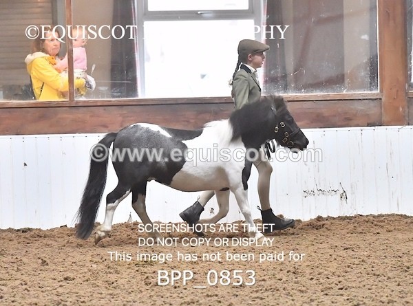 BPP_0853 - RING 1