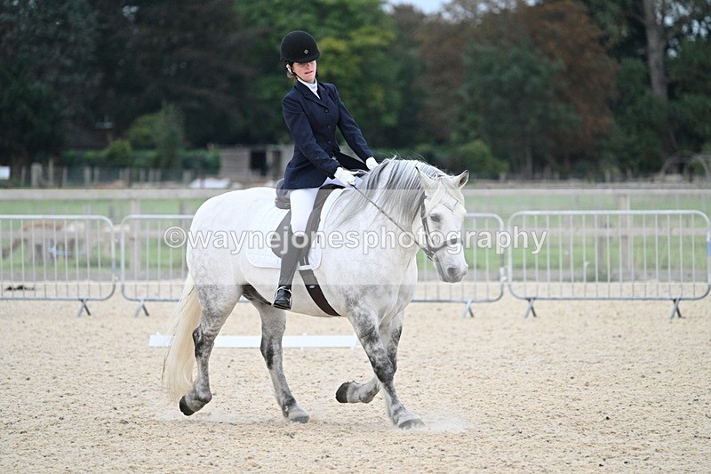 WJ7_2305 - Class 2 & Champs