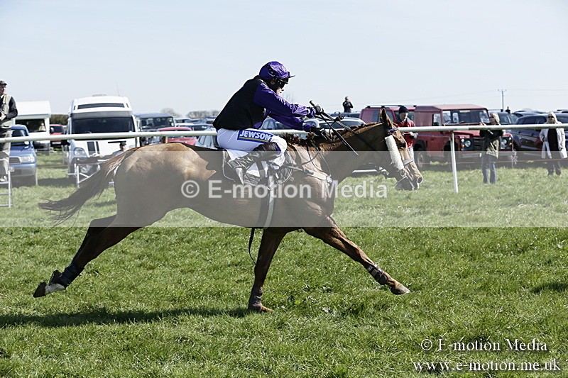 PtP 260317 88 - Mendip Farmers Point-to-Point Ston Easton 26/03/17