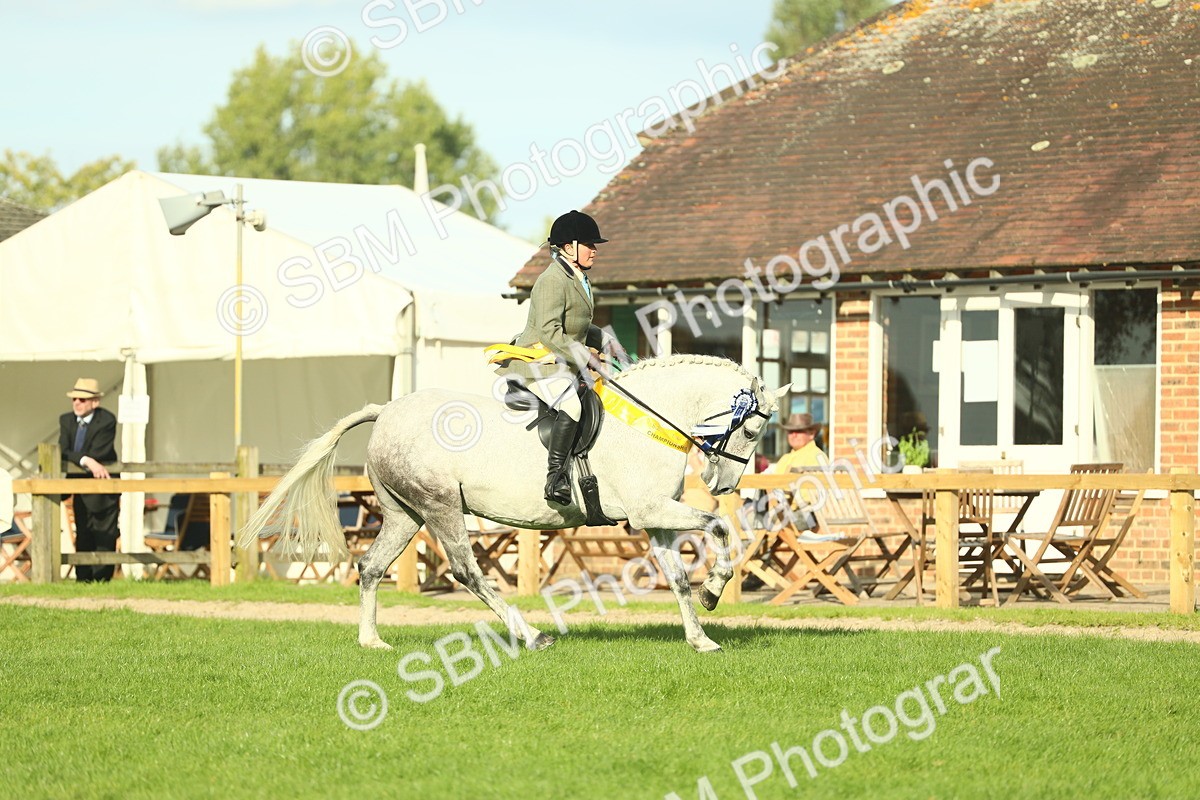 SBM_52341 - Working Hunter Supreme Championship