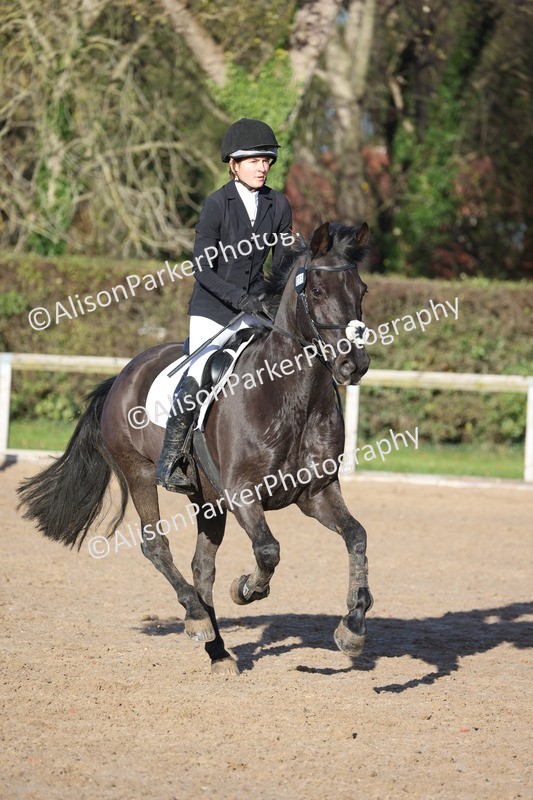 20251123-0682 - Class 3 - 80cm