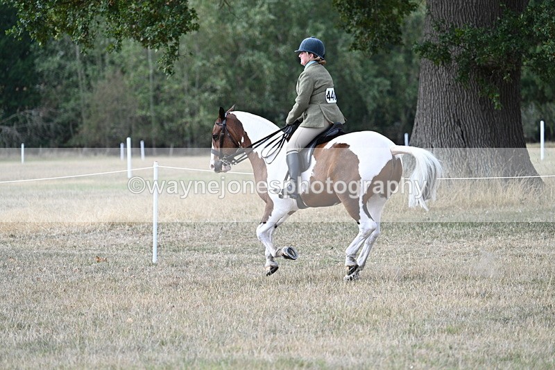 WJ7_7314 - Class 14 Ridden Coloured