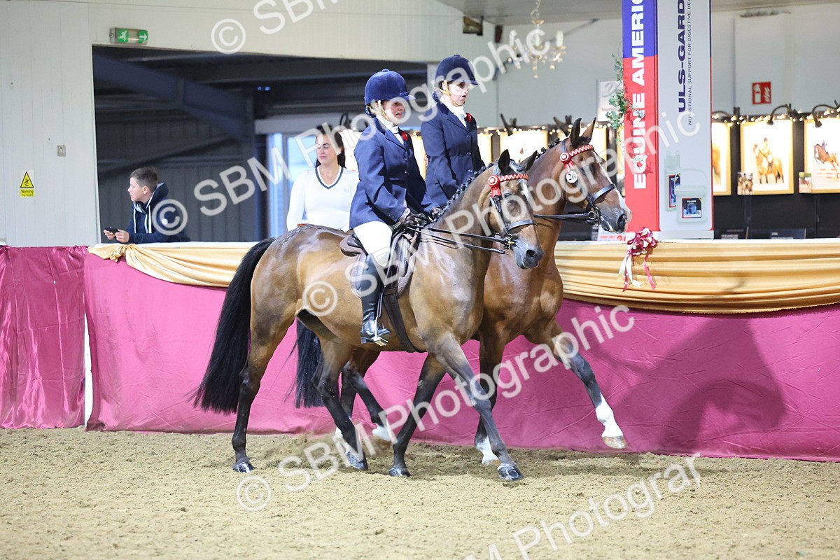 0B8A4343 - Class M Ridden Pairs Champ
