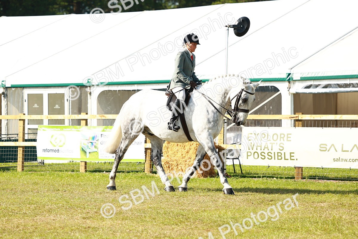 SBM_11747 - Class 66-69 - RIHS Ridden Hunters Inc Small Hunter