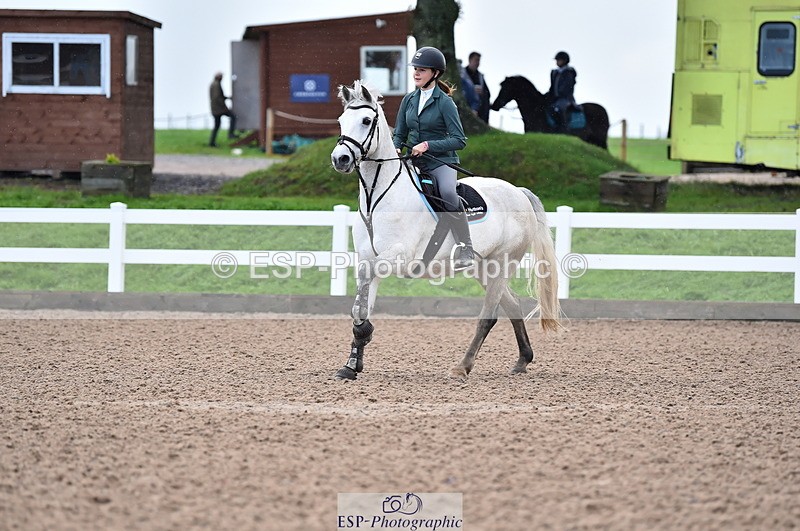 231029A-110044-02519 - Pony British Novice & 80cm Open