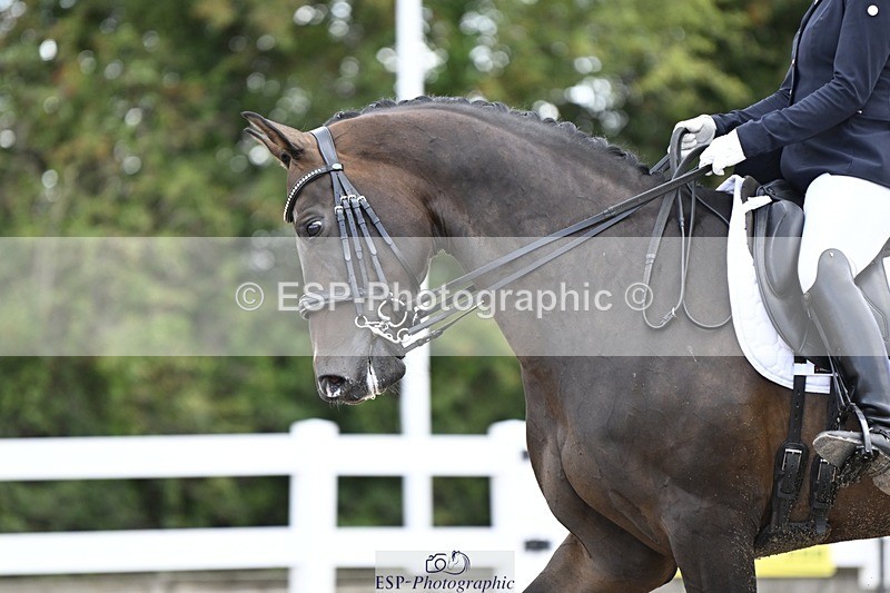 250907-165114-10787 - 113-Nicole.JahanshahiVirtual.Attraction