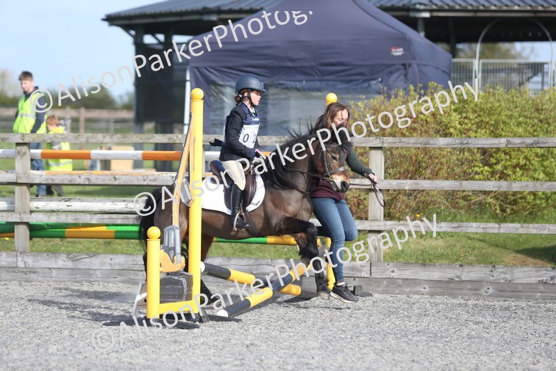 20260412-0051 - Show Jumping