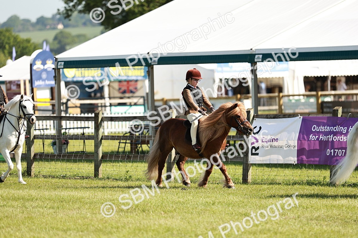 SBM_12564 - Class 106-107 - BSPS LIHS Working Sports Pony
