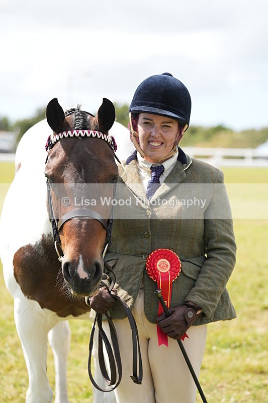 DSC07143 - Class 61: Coloured Horse 4yrs & Over