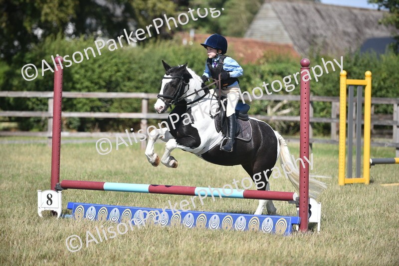 20260906-1713 - Class 9 - Absolute Novice Jumping 45cm